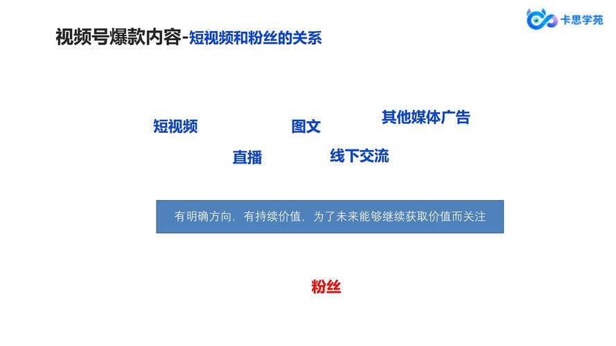 **标题:视频号粉丝飙升秘籍:从零到行业领袖的蜕变之旅**