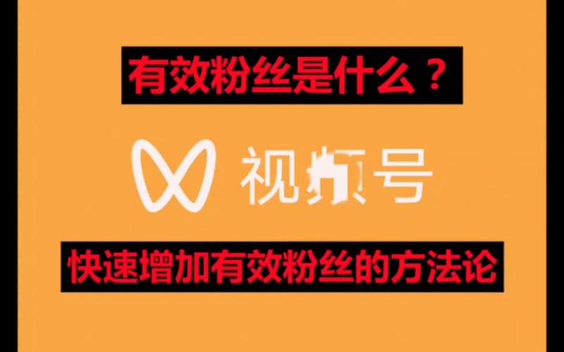 **标题:揭秘视频号粉丝快速增长秘籍:刷粉实战策略大公开**