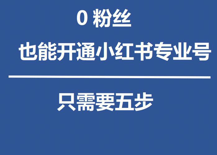 **小红书粉丝购买心得大揭秘:如何轻松俘获粉丝心,助你账号持续走红**