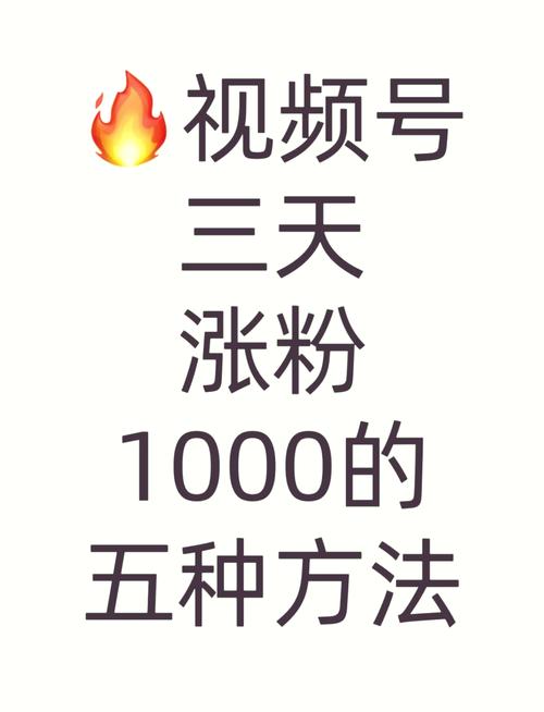 **视频号春天降临:高效刷粉平台,引领你的内容飞跃**