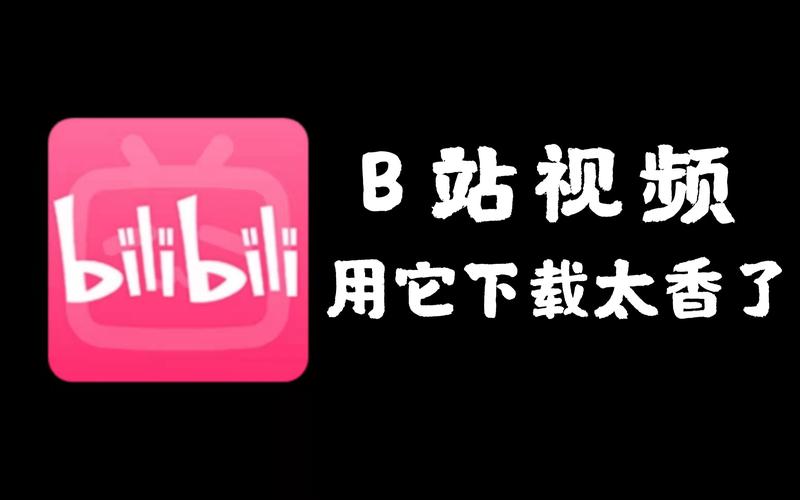 **揭秘神器:如何借助第三方工具让你的B站视频观看量飙升?**