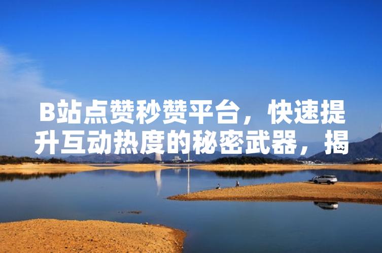**揭秘哔哩哔哩高播放量背后的“秘密武器”:代刷服务真相探析**