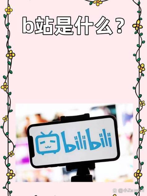**揭秘B站粉丝代刷网：如何助力你的视频走红**