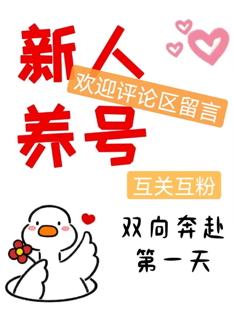 **视频号快速涨粉秘诀：揭秘刷粉技巧，助你粉丝量飙升！**