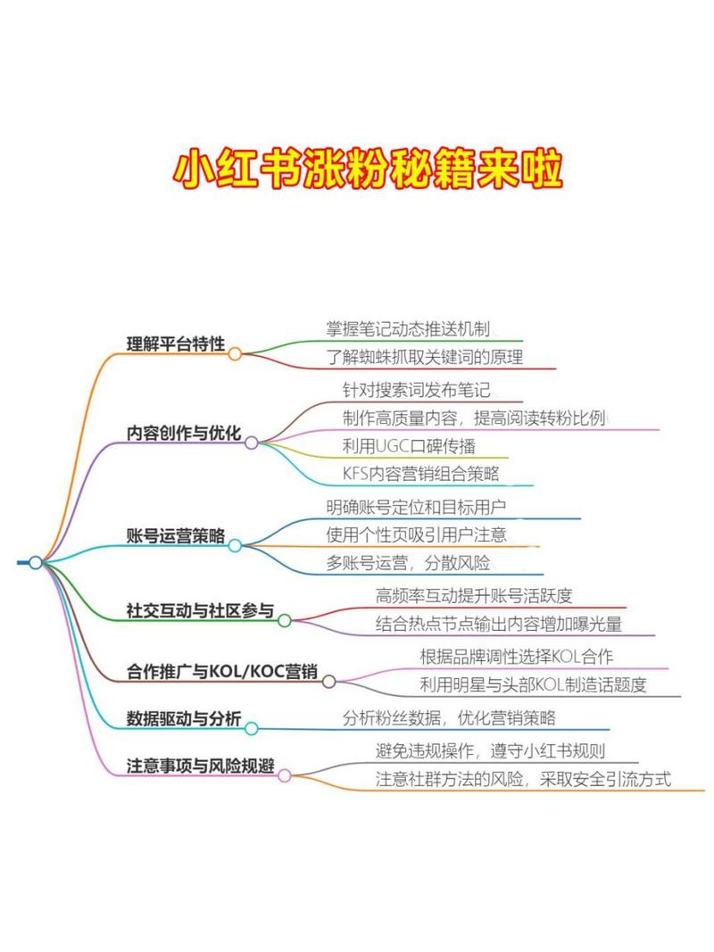**小红书涨粉秘籍大揭秘:顶级软件横向对比,助你选出涨粉神器!**