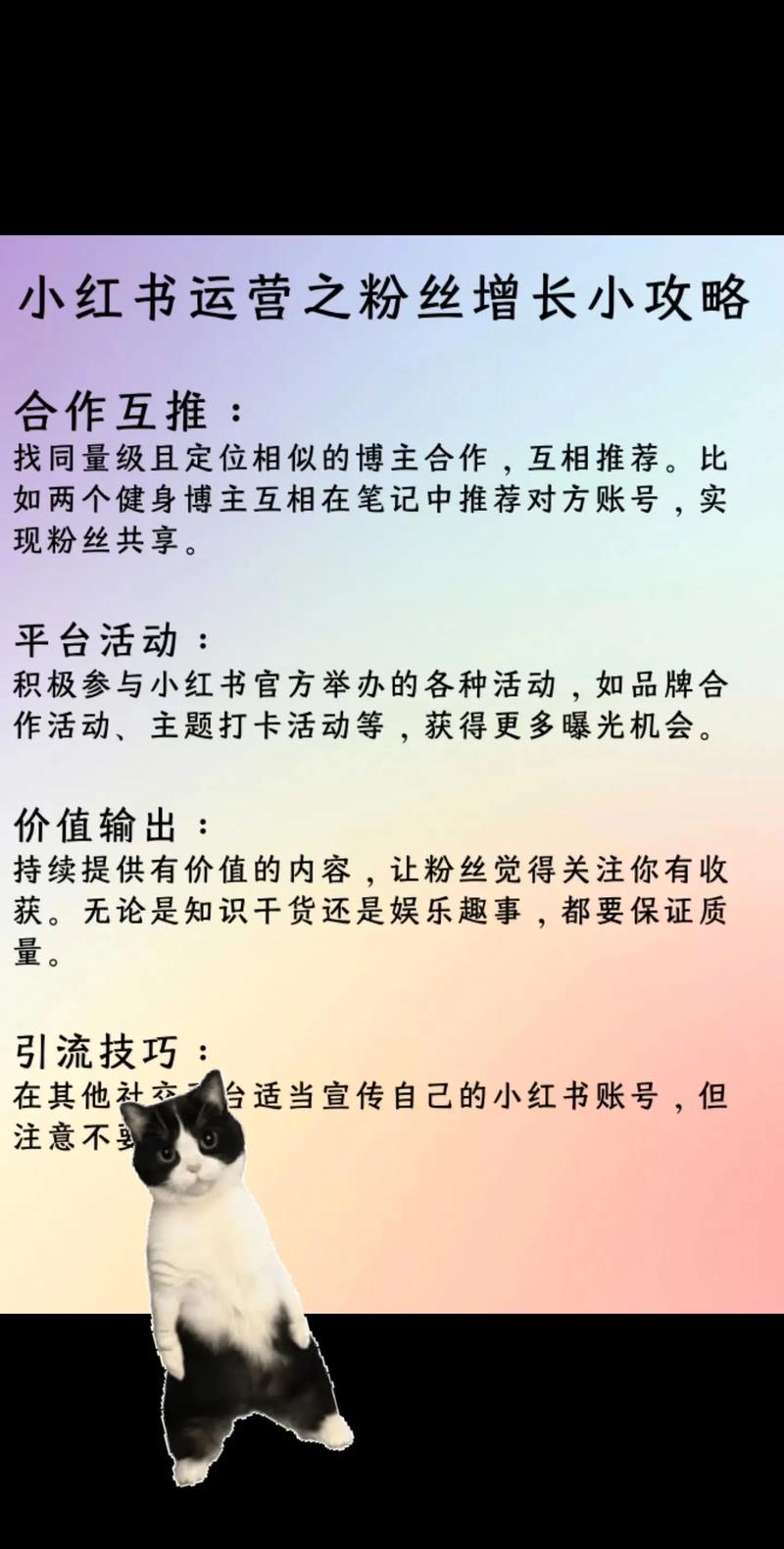 **小红书点赞粉丝飙升秘籍:轻松打造个人影响力!**