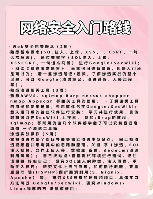 **揭秘哔哩代刷网:如何安全快速成为平台翘楚**