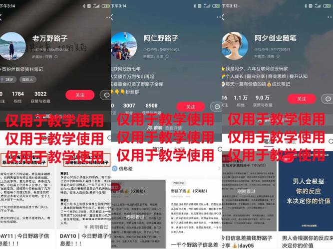 小红书粉丝网站:内容创业者的福音