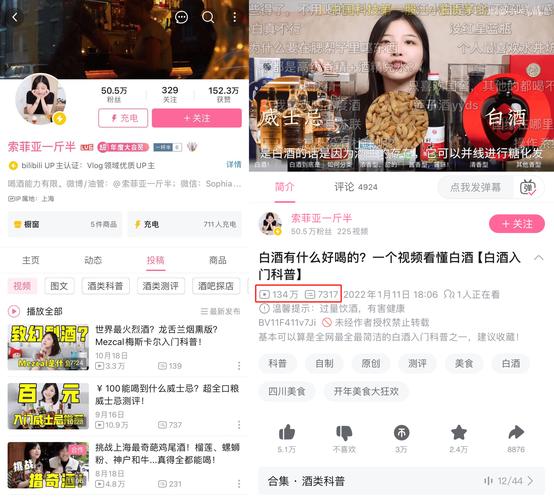 **揭秘B站播放量飙升秘诀,助你成为人气UP主!**