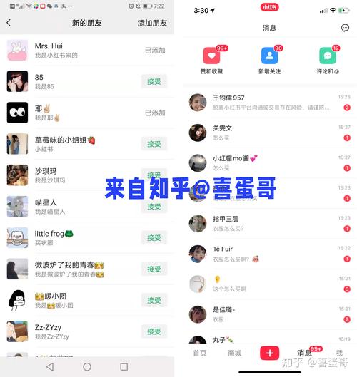 **小红书新手进阶攻略:粉丝价值与价格探秘**