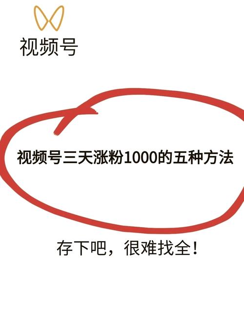 **视频号粉丝破圈秘籍:揭秘高效刷粉策略,让你的账号火爆全网!**