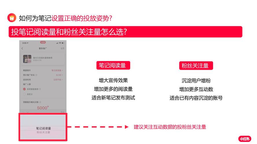 全网最实用的粉丝增长攻略:哪些刷粉平台最有效?