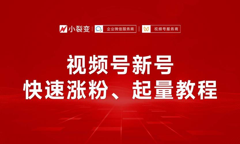 **标题:揭秘视频号粉丝疯涨背后的神秘力量!**