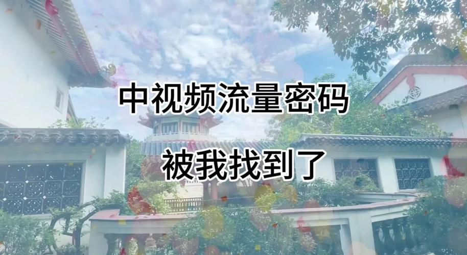 **揭秘B站达人背后的流量密码：专业刷播放量平台深度探析**