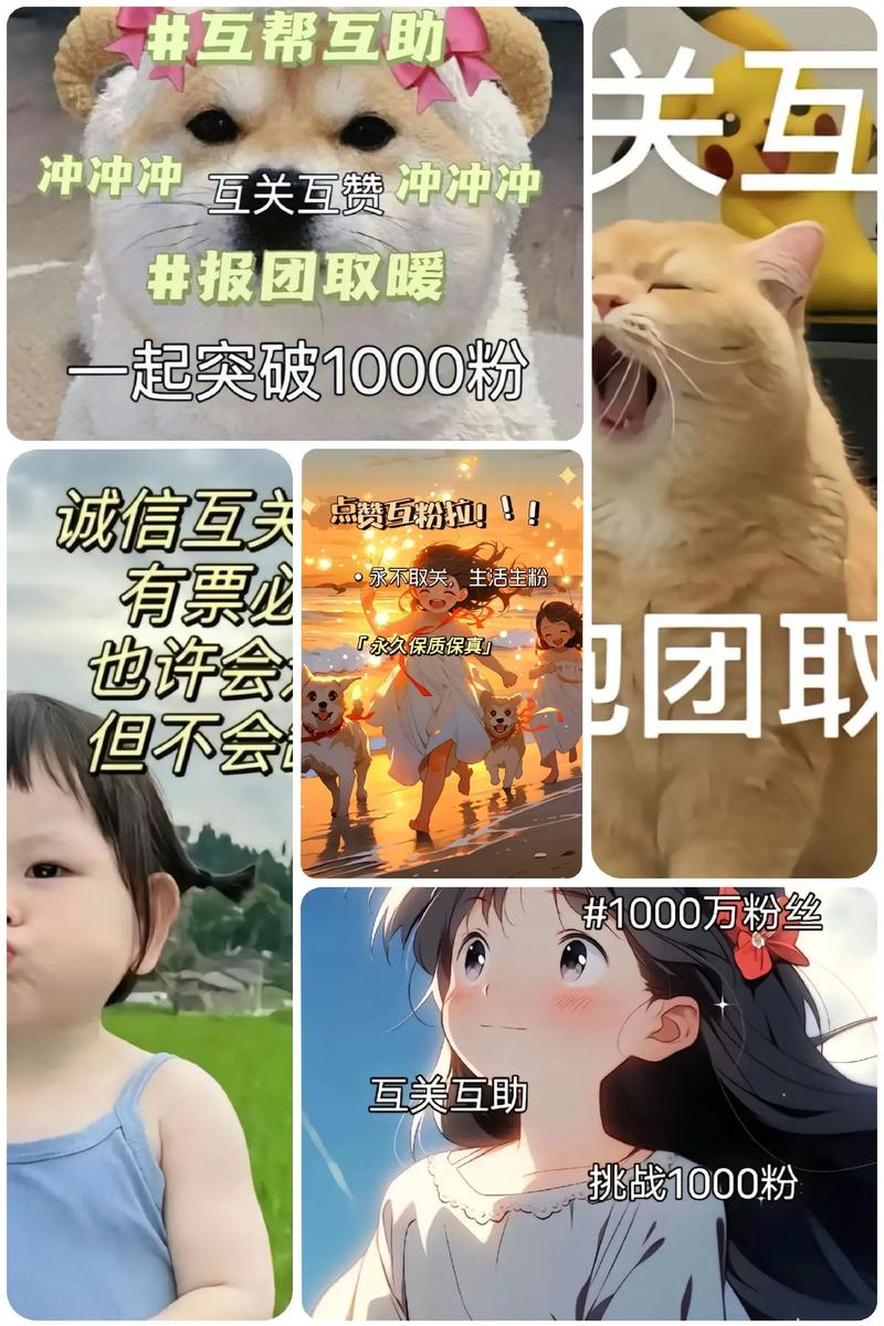 一掷千金不如一元刷粉丝！快手粉丝轻松突破千位！