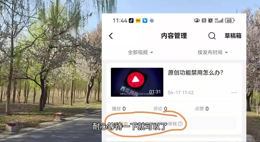 **揭秘B站播放量增长秘籍:让你的视频轻松走红!**