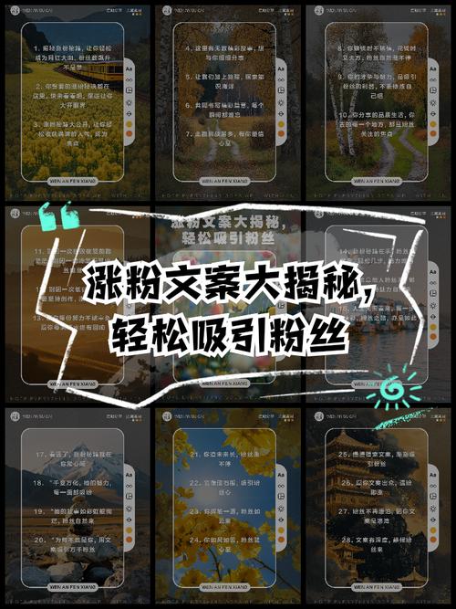 **快手涨粉秘籍:低成本高效策略,助你粉丝飙升!**