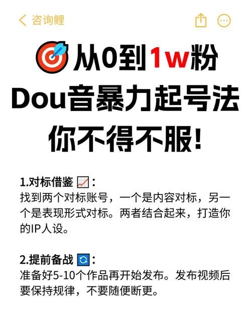 **揭秘B站涨粉神器：粉丝代刷网的真相与风险**