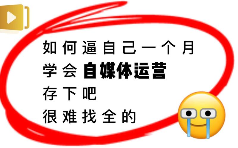 **揭秘B站爆款背后的推手：巧妙运用代刷网的力量**