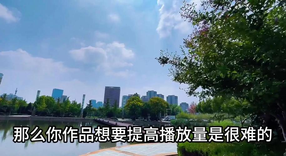 **揭秘行业内幕：B站视频播放量飙升的神秘武器！**