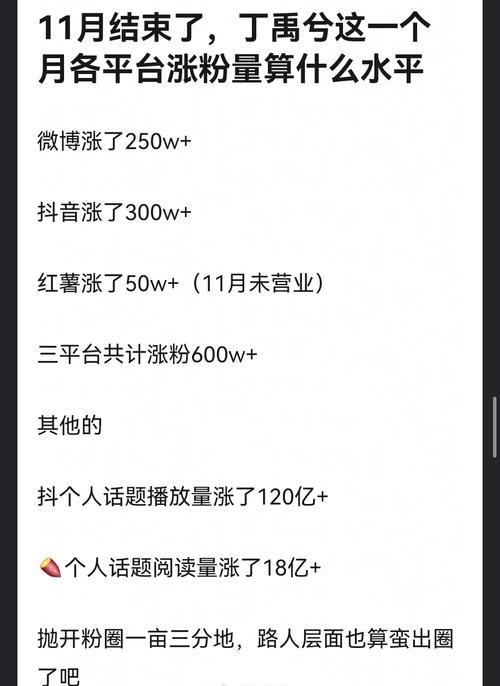 **揭秘全网最火刷粉平台:真相背后的风险与代价**