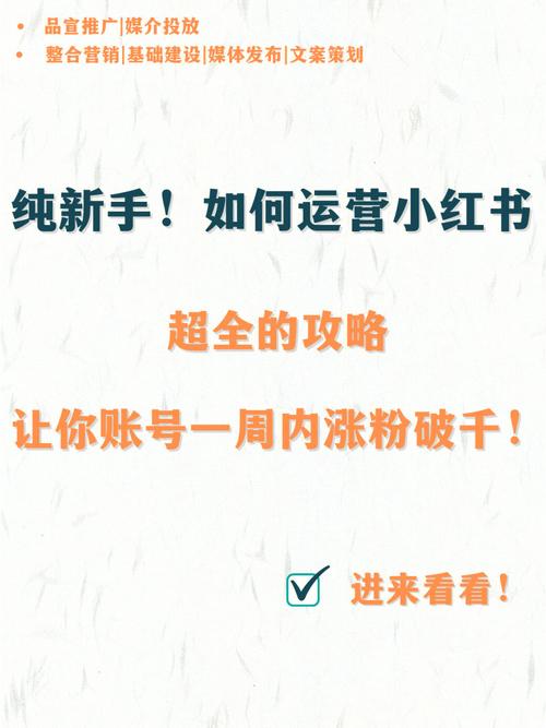 **标题:揭秘小红书成功涨粉的五大秘诀!**