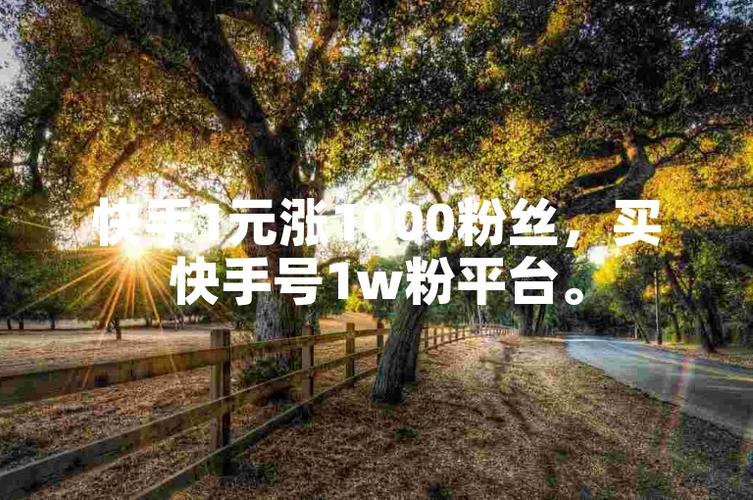 **标题:揭秘高效粉丝增长平台,助你快手账号人气飙升!**