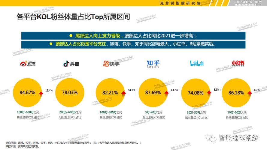 专业解析:抖音有效粉丝购买的价值与意义
