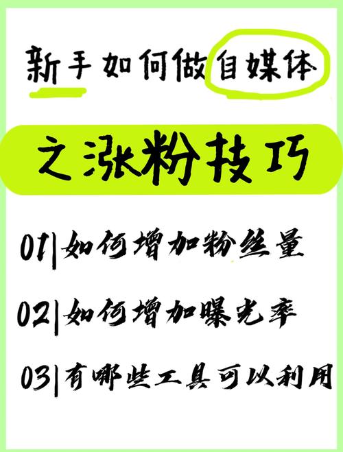 **标题:揭秘小红书涨粉秘籍:轻松打造个人魅力,吸引万千关注!**