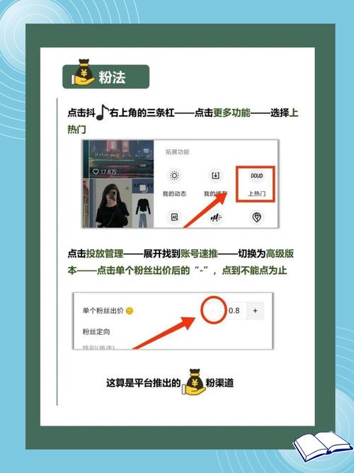 **揭秘快手涨粉秘诀:一元轻松实现千粉飞跃!**