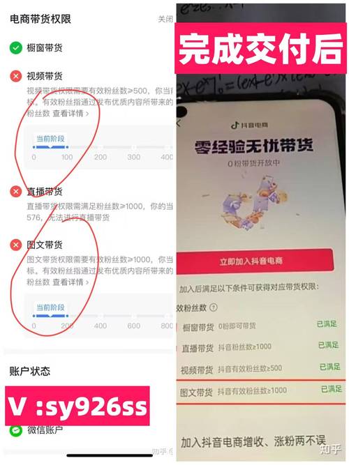 抖音粉丝轻松累积,购买网站助你走向成功