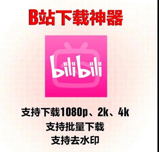 **揭秘神器:利用网站助力,让你的B站视频火爆全网!**