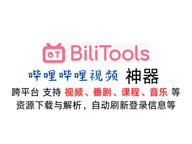 **揭秘神器:利用网站助力,让你的B站视频火爆全网!**