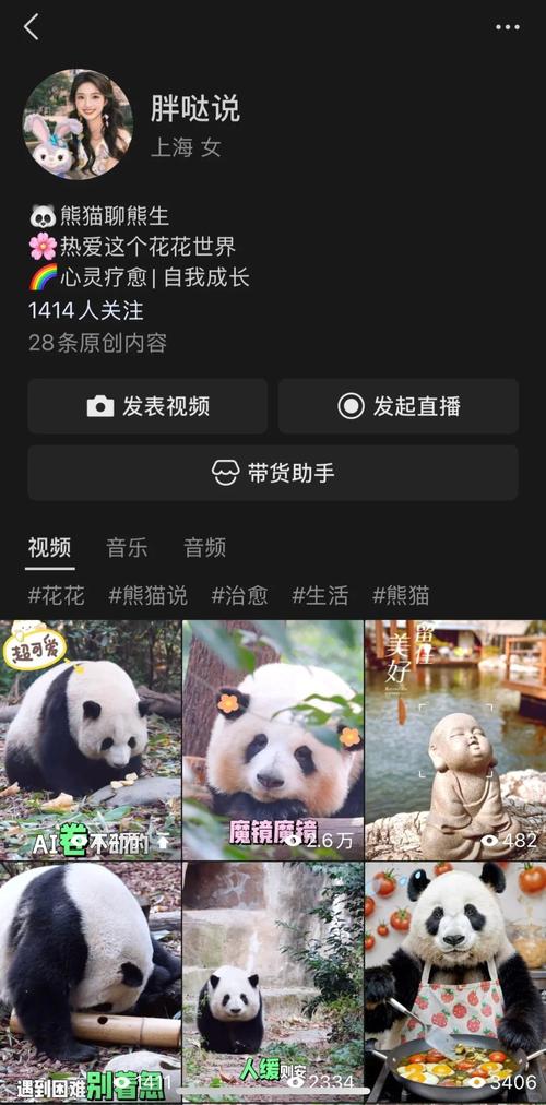 **从零到千粉:视频号小白的成长逆袭之路**